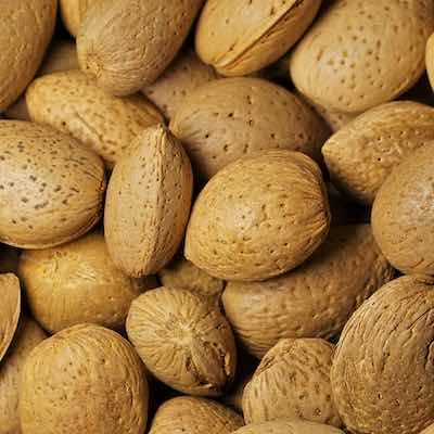 TruBiol Plant Antifreeze increased almond yield by 43% TruBiol Plant Antifreeze Almond Harvest 43%